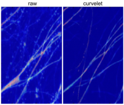 Analyse der Neuronmorphologie mit Curvelets